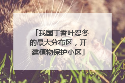 我国丁香叶忍冬的最大分布区，开建植物保护小区